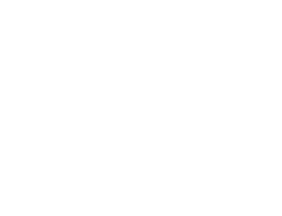HSE Logo